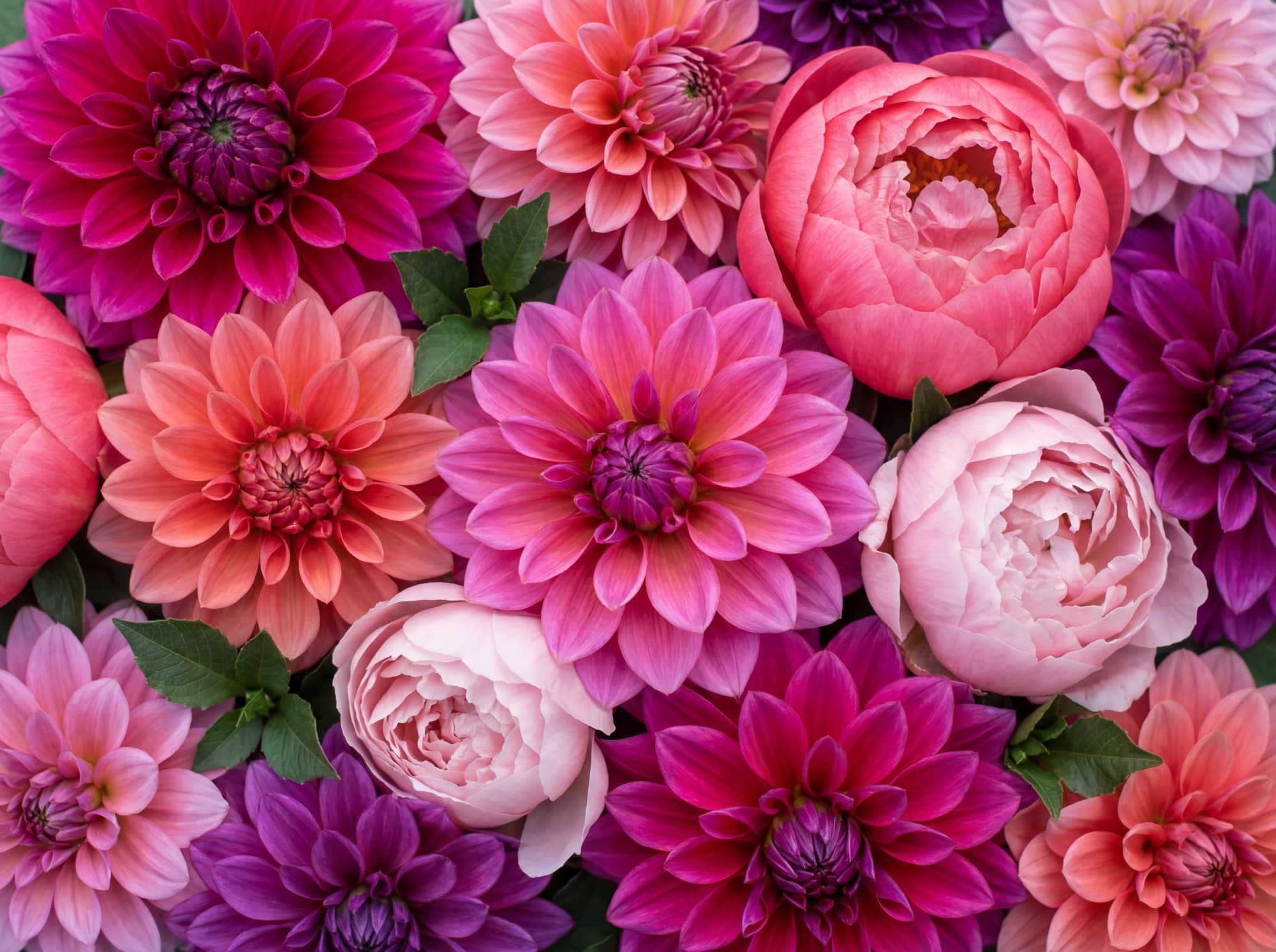 Blumenarrangement in lebendigen Beyond CMYK Farben – erweiterter Farbraum